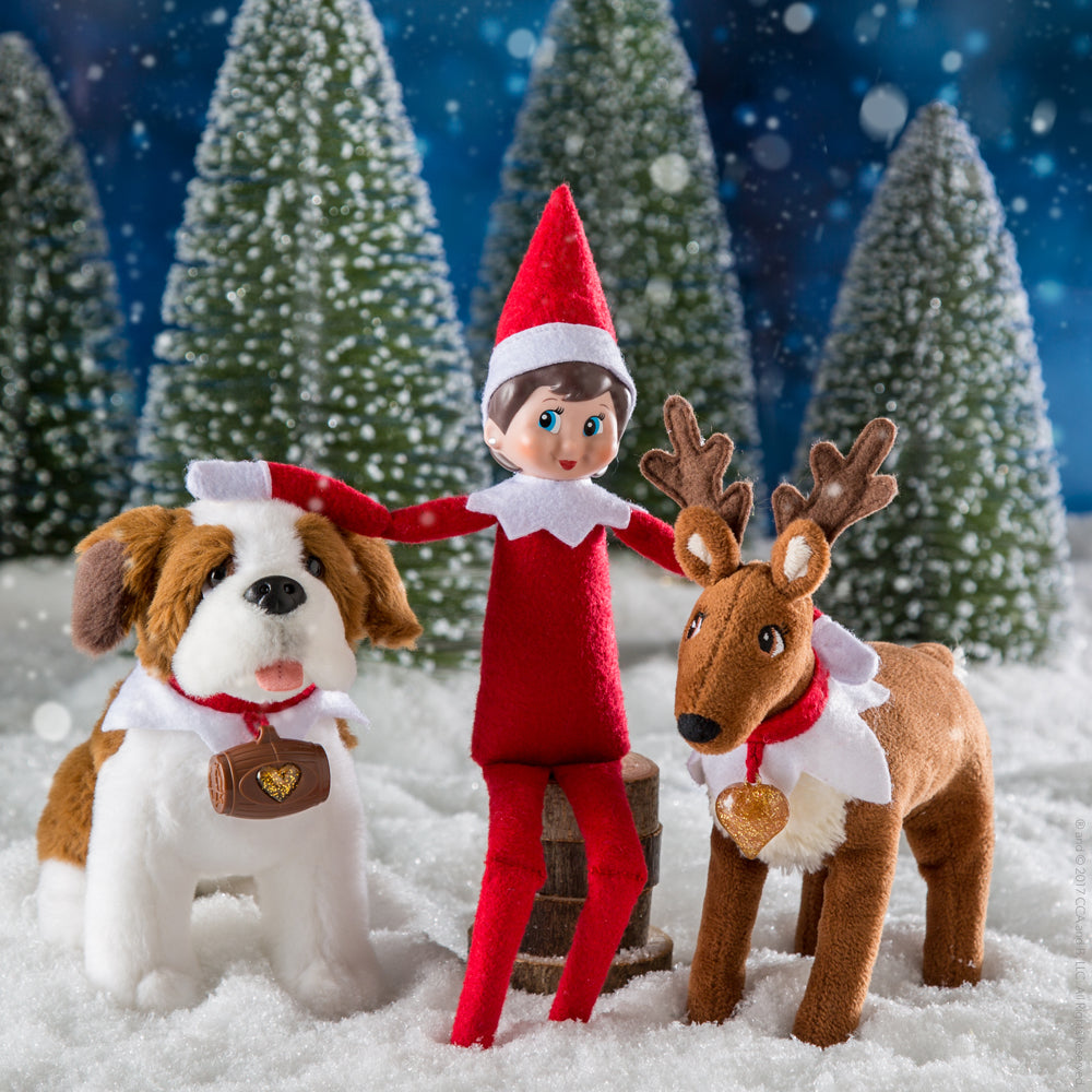 The Elf on the Shelf® - Eine Weihnachtstradition