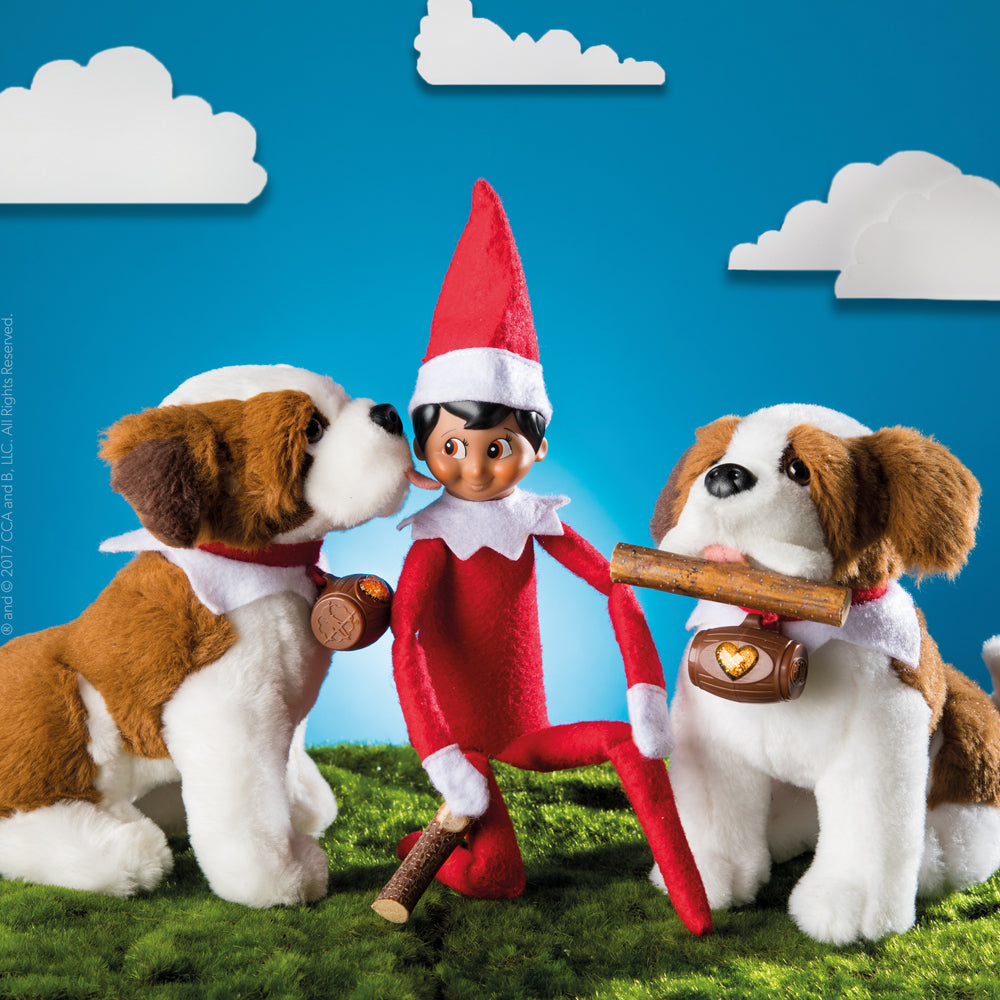 Elf Pets® Eine Bernhardiner Tradition